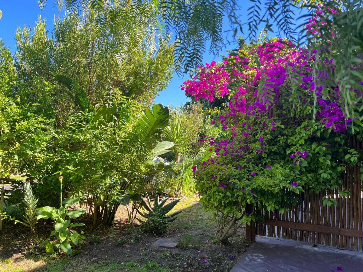 Sunset Beach Living Guesthouse Cape Town Exterior photo